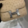 wsxc1781004401346_7 Liu Factory Constance Ostrich Leather Tea Khaki Silver Hardware 18cm Full Handmade