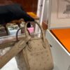 wsxc1781004533499_4 Liu Factory Mini Lindy Ostrich Leather Tea Khaki Silver Hardware 19cm Full Handmade
