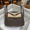 Liu Factory Mini Lindy Ostrich Leather 4A Chocolate Coffee Silver Hardware 19cm Full Handmade