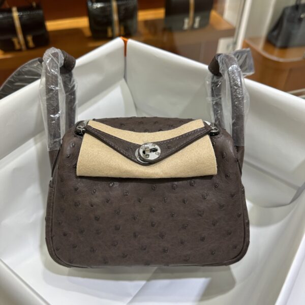 Liu Factory Mini Lindy Ostrich Leather 4A Chocolate Coffee Silver Hardware 19cm Full Handmade