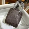 Liu Factory Mini Lindy Ostrich Leather 4A Chocolate Coffee Silver Hardware 19cm Full Handmade