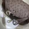 Liu Factory Mini Lindy Ostrich Leather 4A Chocolate Coffee Silver Hardware 19cm Full Handmade