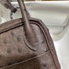 Liu Factory Mini Lindy Ostrich Leather 4A Chocolate Coffee Silver Hardware 19cm Full Handmade