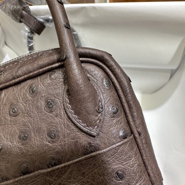 Liu Factory Mini Lindy Ostrich Leather 4A Chocolate Coffee Silver Hardware 19cm Full Handmade