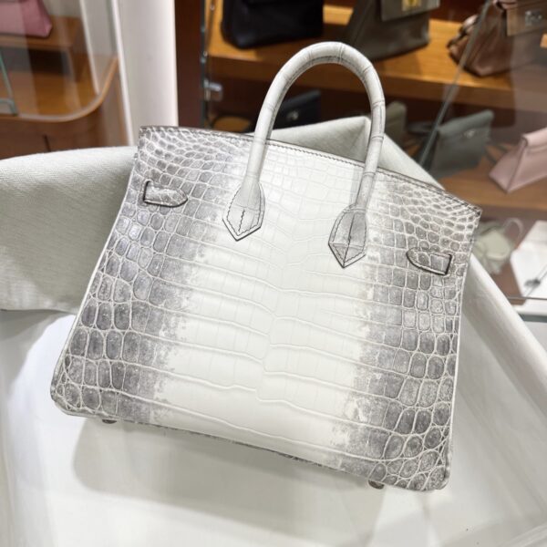 wsxc1782990863581_1-1 Liu Factory Birkin Matte Crocodile Leather Himalaya Silver Hardware 25cm Full Handmade