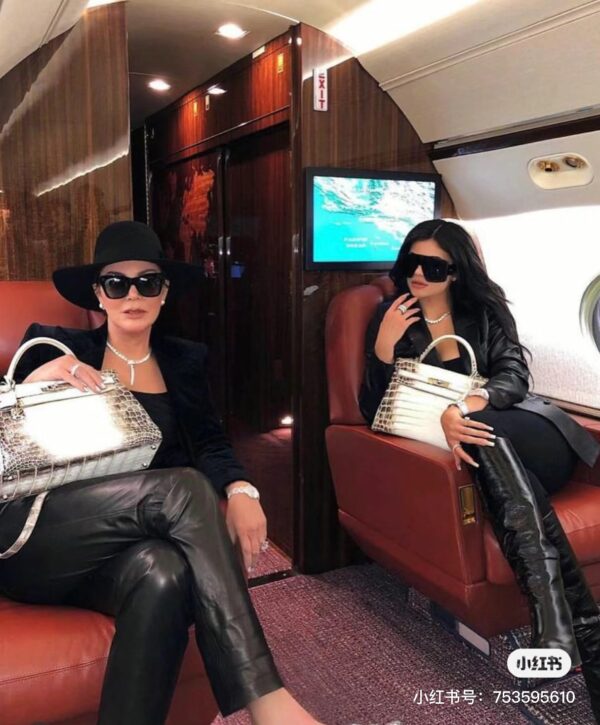 wsxc1782990867374_5 Liu Factory Birkin Matte Crocodile Leather Himalaya Silver Hardware 25cm Full Handmade